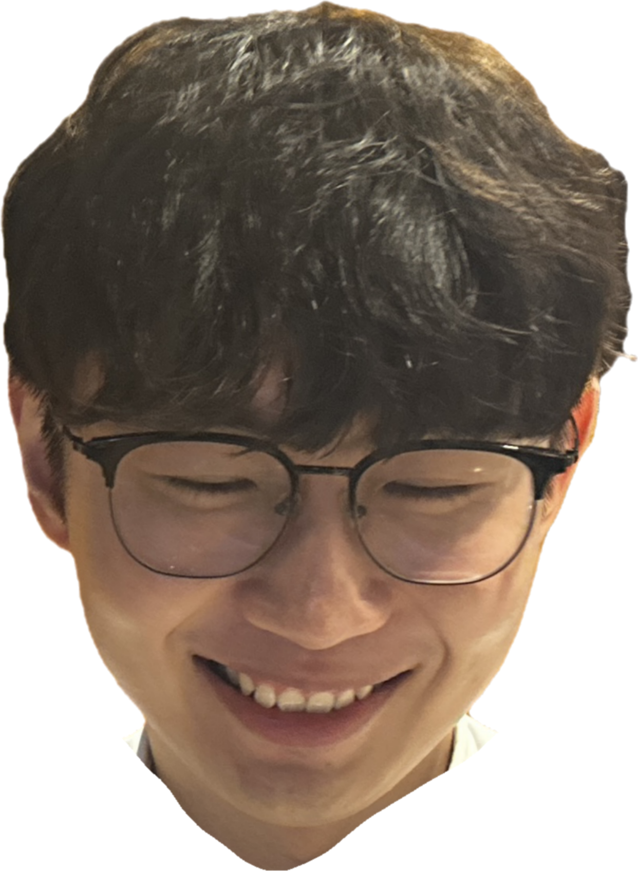 태디